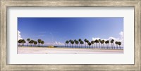 Framed Palm trees at the roadside, Interstate 275, Tampa Bay, Gulf of Mexico, Florida, USA