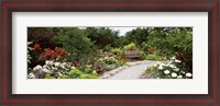 Framed Bench in a garden, Olbrich Botanical Gardens, Madison, Wisconsin, USA