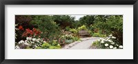 Framed Bench in a garden, Olbrich Botanical Gardens, Madison, Wisconsin, USA
