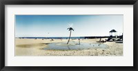 Framed Palm tree sprinkler on the beach, Coney Island, Brooklyn, New York City, New York State, USA