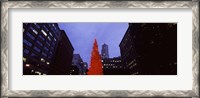 Framed Low angle view of a Christmas tree, San Francisco, California, USA