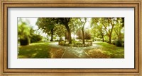 Framed Trees in a park, McCarren Park, Greenpoint, Brooklyn, New York City, New York State, USA