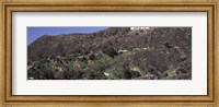 Framed Hollywood Hills, Hollywood, California