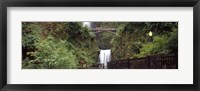 Framed Waterfall in a forest, Multnomah Falls, Hood River, Columbia River Gorge, Oregon