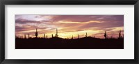 Framed Purple and Orange Sky Over Saguaro Nataional Park, Arizona