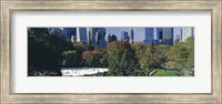 Framed Ice rink in a park, Wollman Rink, Central Park, Manhattan, New York City, New York State, USA 2010