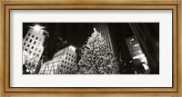 Framed Christmas tree lit up at night, Rockefeller Center, Manhattan (black and white)