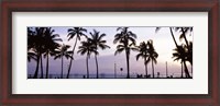 Framed Palm trees on the beach, Waikiki, Honolulu, Oahu, Hawaii (black and white)