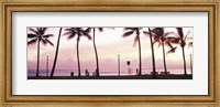 Framed Palm trees on the beach, Waikiki, Honolulu, Oahu, Hawaii