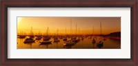 Framed Boats moored at a harbor at dusk, Chicago River, Chicago, Cook County, Illinois, USA