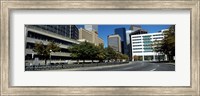 Framed Buildings in a city, Downtown Denver, Denver, Colorado, USA