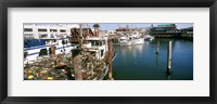 Framed Fishing boats at a dock, Fisherman's Wharf, San Francisco, California, USA