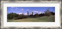 Framed Downtown skylines viewed from a park, Houston, Texas, USA
