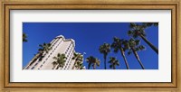 Framed Low angle view of palm trees, Downtown San Jose, San Jose, Silicon Valley, Santa Clara County, California