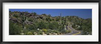 Framed Road Through The Desert, Phoenix, Arizona, USA