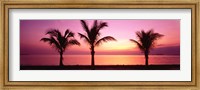 Framed Miami Beach, Florida, USA