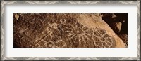 Framed Close-up of petroglyphs on a rock, Saguaro National Park, Tucson, Arizona, USA