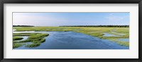 Framed Sea grass in the sea, Atlantic Coast, Jacksonville, Florida, USA