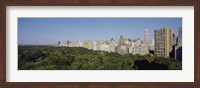 Framed High Angle View Of A Park, Central Park, NYC, New York City, New York State, USA