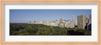 Framed High Angle View Of A Park, Central Park, NYC, New York City, New York State, USA