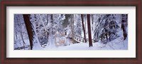 Framed Winter footbridge Cleveland Metro Parks, Cleveland OH USA