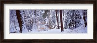 Framed Winter footbridge Cleveland Metro Parks, Cleveland OH USA