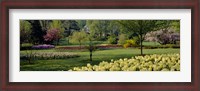 Framed Sherwood Gardens, Baltimore, Maryland