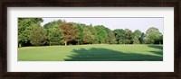 Framed Trees on a golf course, Woodholme Country Club, Baltimore, Maryland, USA