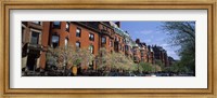 Framed Buildings in a street, Commonwealth Avenue, Boston, Suffolk County, Massachusetts, USA