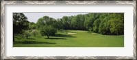 Framed Trees On A Golf Course, Baltimore Country Club, Baltimore, Maryland, USA