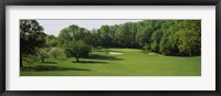 Framed Trees On A Golf Course, Baltimore Country Club, Baltimore, Maryland, USA