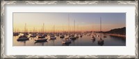Framed Sunset & harbor Chicago IL USA