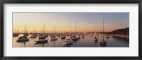 Framed Sunset & harbor Chicago IL USA