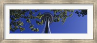 Framed Space Needle Maple Trees Seattle Center Seattle WA USA