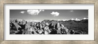 Framed Boulders on a landscape, Saguaro National Park, Tucson, Pima County, Arizona, USA