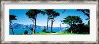 Framed Golf Course w\ Golden Gate Bridge San Francisco CA USA