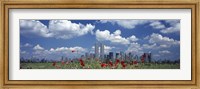 Framed Red Flowers in a park with buildings in the background, Manhattan