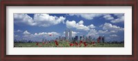 Framed Red Flowers in a park with buildings in the background, Manhattan