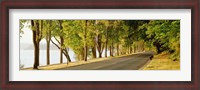Framed Trees on both sides of a road, Lake Washington Boulevard, Seattle, Washington State, USA