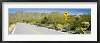 Framed Directional signboard at the roadside, McCain Loop Road, Tucson Mountain Park, Tucson, Arizona, USA