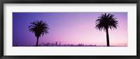 Framed San Francisco skyline between 2 palm trees, California