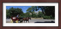 Framed Tourists Traveling In A Horse Cart, NYC, New York City, New York State, USA