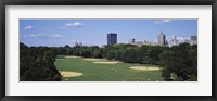 Framed High angle view of the Great Lawn, Central Park, Manhattan, New York City, New York State, USA