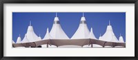 Framed Roof of a terminal building at an airport, Denver International Airport, Denver, Colorado, USA