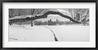 Framed Bare trees in a park, Lincoln Park, Chicago, Illinois, USA