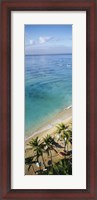 Framed High angle view of palm trees with beach umbrellas on the beach, Waikiki Beach, Honolulu, Oahu, Hawaii, USA