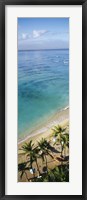 Framed High angle view of palm trees with beach umbrellas on the beach, Waikiki Beach, Honolulu, Oahu, Hawaii, USA