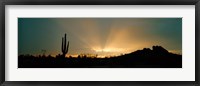 Framed Desert Sun Beams, Near Phoenix, Arizona, USA