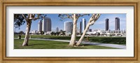 Framed Embarcadero Marina Park, San Diego, California, USA