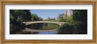 Framed Bridge across a lake, Central Park, New York City, New York State, USA